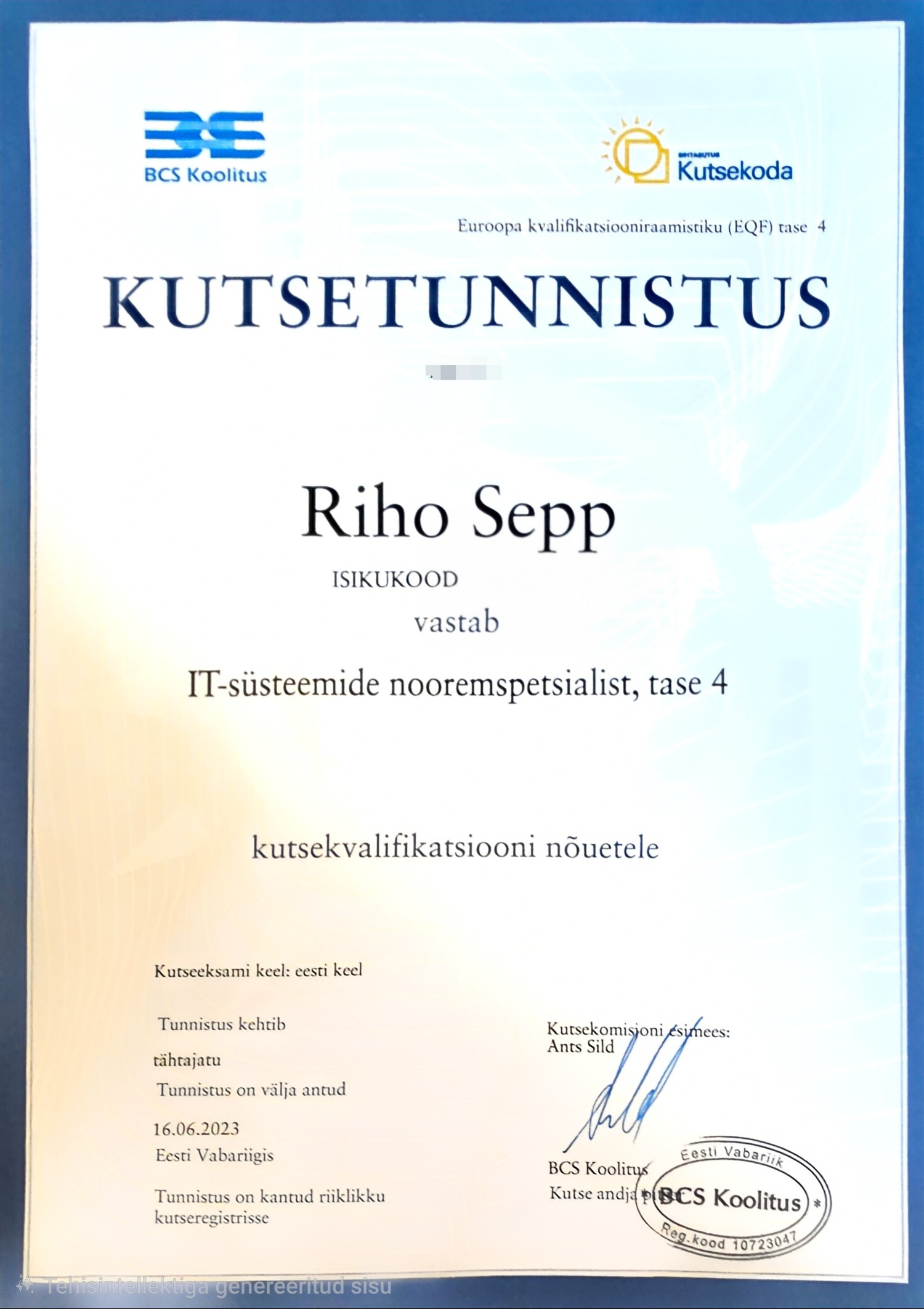 IT-süsteemide nooremspetsialisti kutsetunnistus